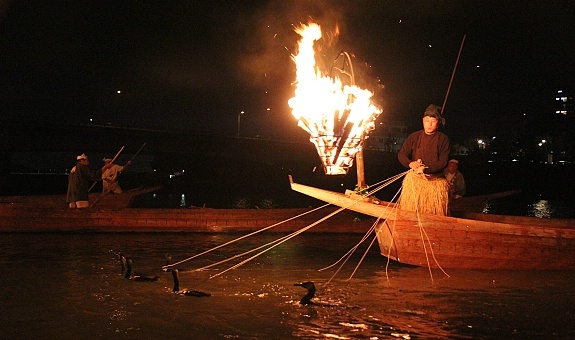 cormorant fishing ukai at the nagaragawa river