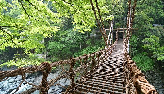 Iya Travel Kazurabashi Bridge - 