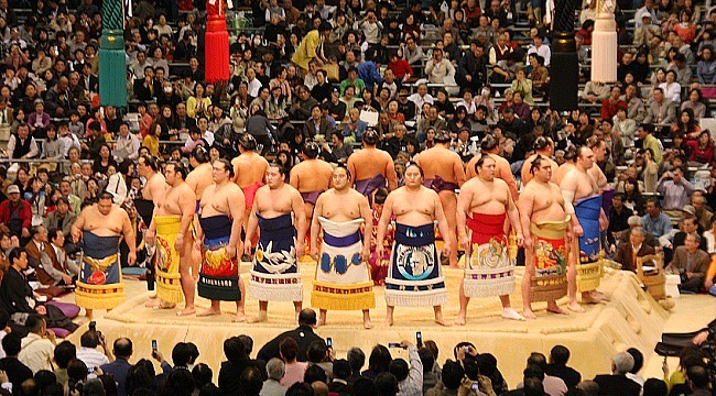 sumo fight