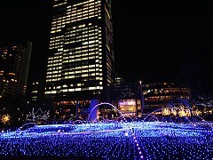 Tokyo Winter Illuminations 2023–24: Top 10 Picks