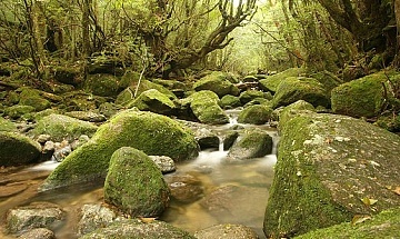 kyushu tourism