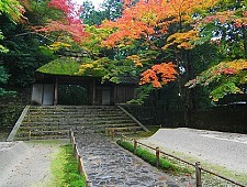 walk japan kyoto tour