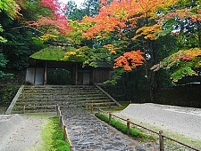 kyoto city tour kyoto city tour