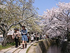 walk japan kyoto tour