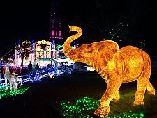 light festival japan