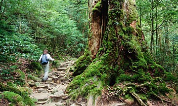 kyushu tourism