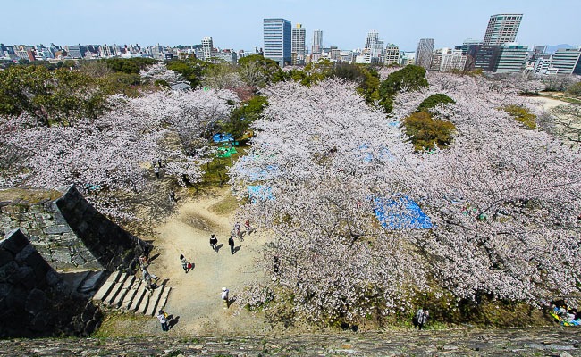 Fukuoka Travel: Fukuoka Castle Ruins (Maizuru Park)