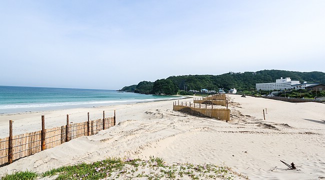 Shimoda Travel Shirahama Beach