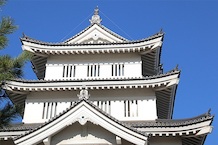 Omiya Bonsai Village - Saitama Travel
