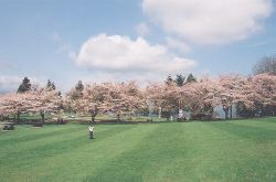 Burnaby Mountain Park