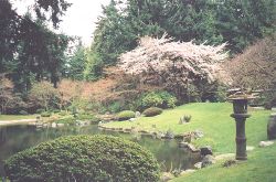 Nitobe Garden