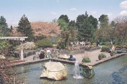Van Dusen Botanical Garden