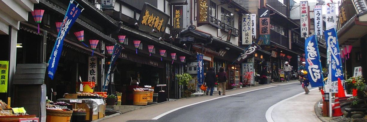 port of entry into japan narita
