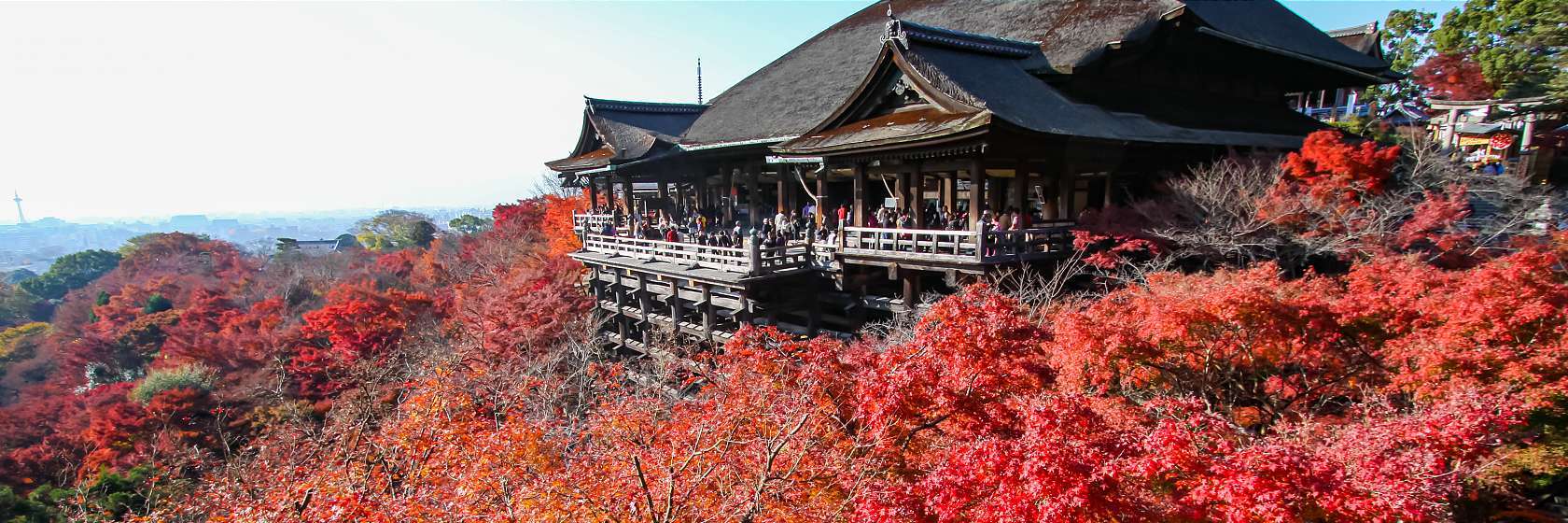 Kyoto Travel Guide - What to do in Kyoto City