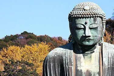types of tourism in tokyo types of tourism in tokyo