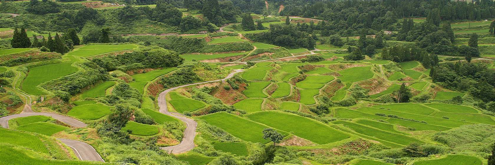 farm tour in japan