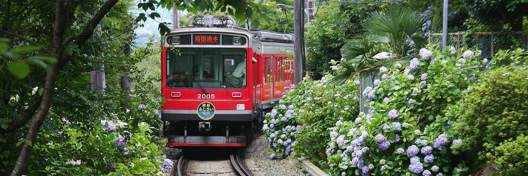 scenic cruises in japan