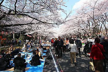 tourist city in japan