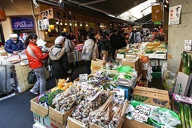 tourist city in japan