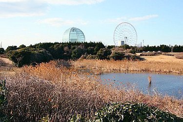 tourist city in japan