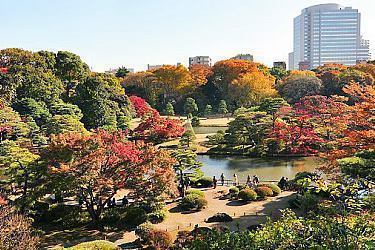 tourist spot in tokyo japan