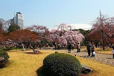 main tourist attractions in tokyo