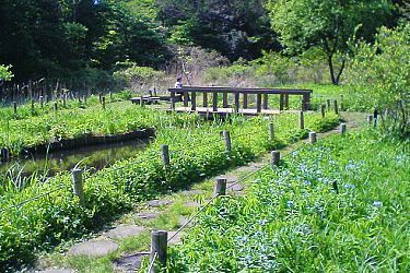 tourist city in japan