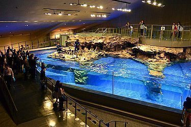 types of tourism in tokyo types of tourism in tokyo