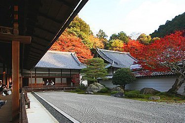 bus travel kyoto