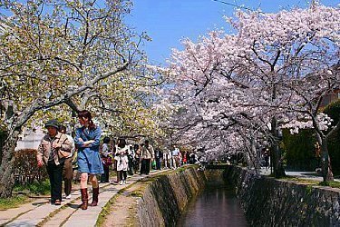 kyoto tour guide