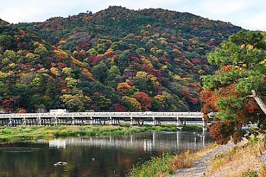 kyoto famous tourist spot