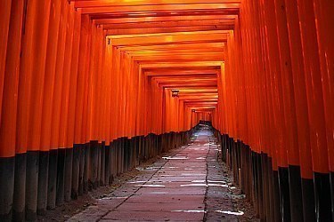 kyoto tour guide