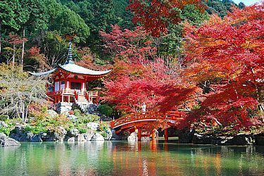 kyoto tourist locations