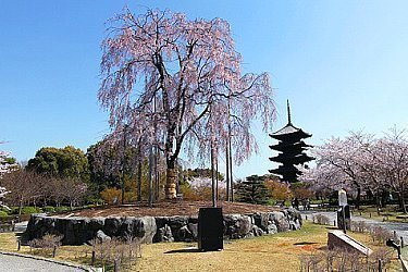 tourist map of kyoto japan