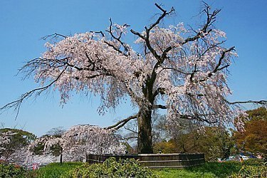 kyoto map tourism