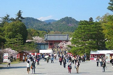 kyoto tour guide