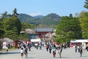 bus travel kyoto