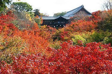 kyoto map tourism