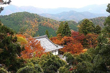 bus travel kyoto