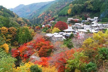 kyoto tour guide