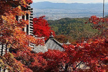 bus travel kyoto