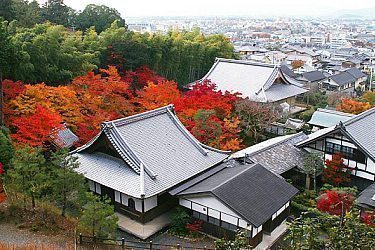 travel kyoto