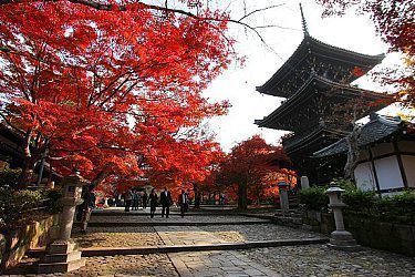 tourist map of kyoto japan