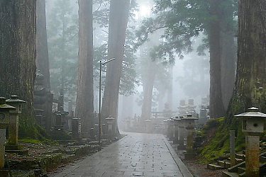 kyoto tour guide