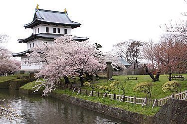 hokkaido local tour guide