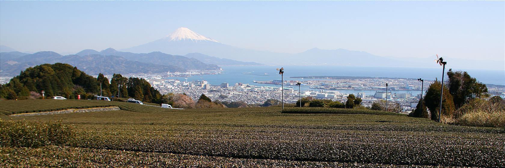 tourist spot in shizuoka japan