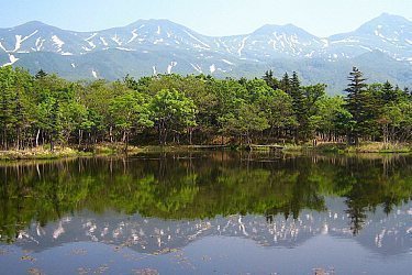 Japanese Gardens