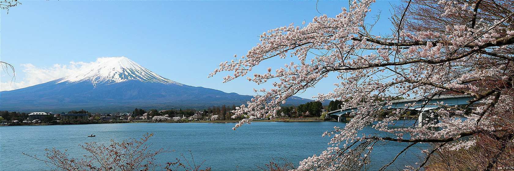 mt fuji tourist guide