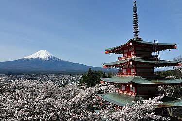 mt fuji tourist guide