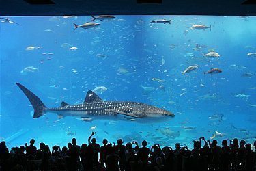 tourist attraction in okinawa japan